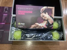 Zumba fitness - pesi e guida istruzioni.