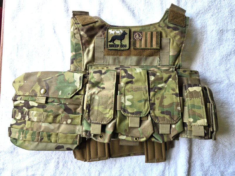 Infidel Combat Systems/Beez Combat Systems  plate carrier L/XL Multicam