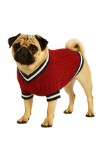 Knitted Red Dog Sweater with Striped Trim