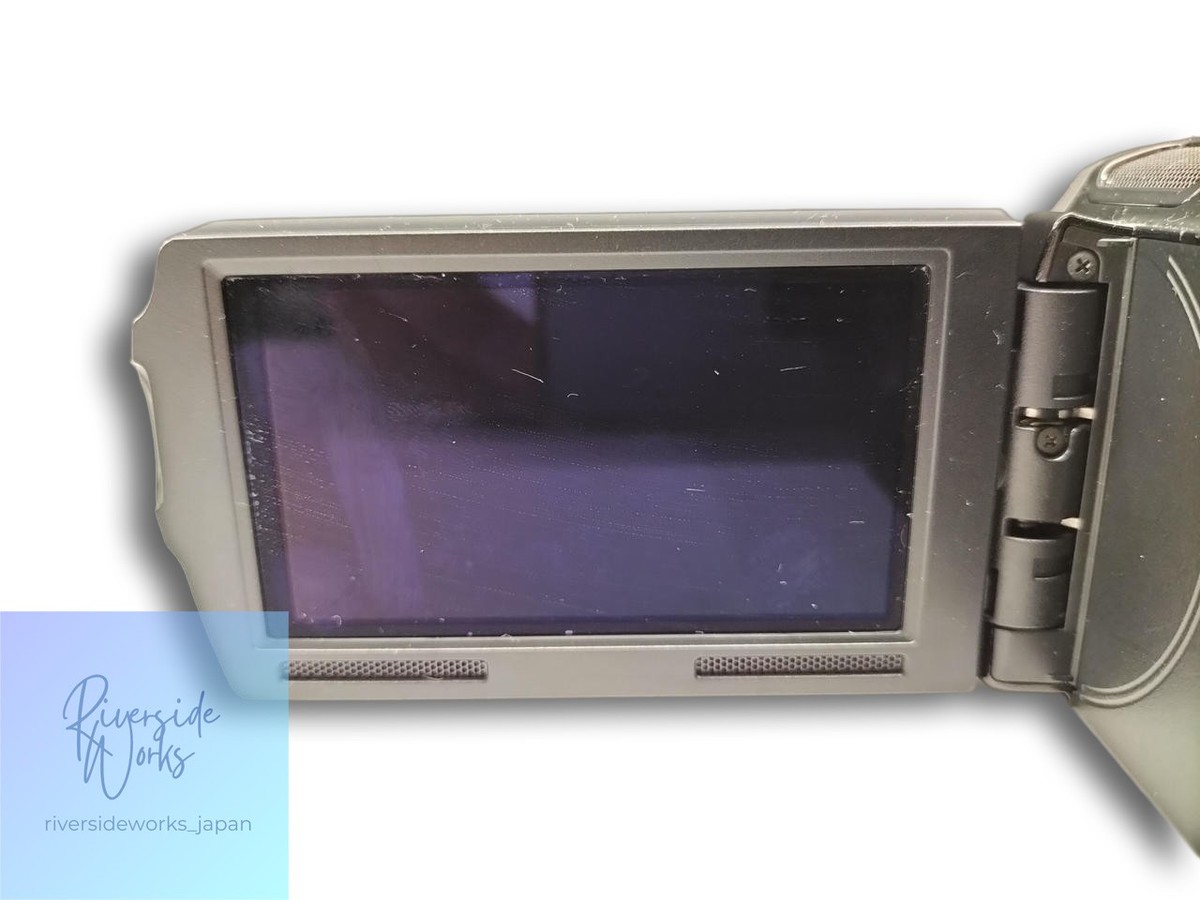 極希少】SONY Handycam HDR-CX560v NP-FV100付き 極希少】SONY