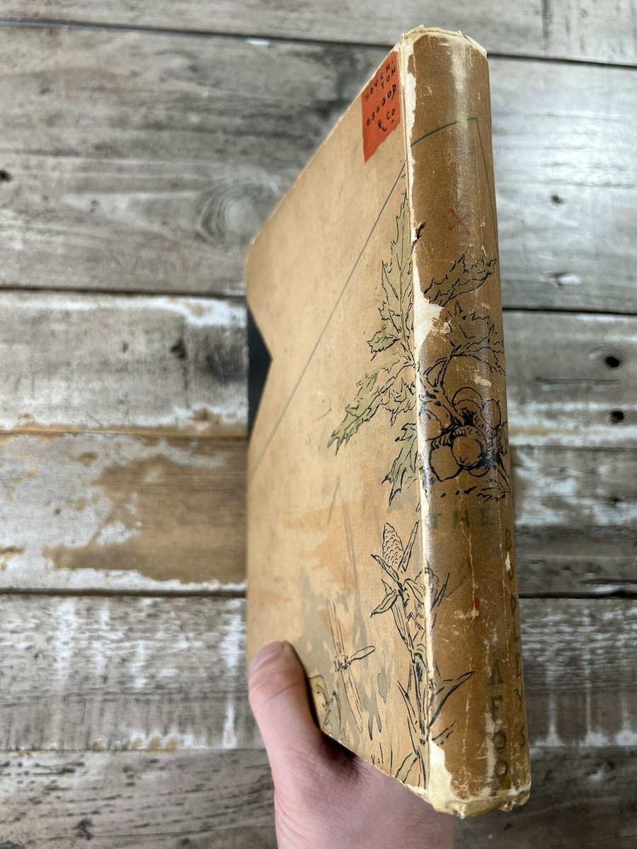 1883 Antique Youth Novel 