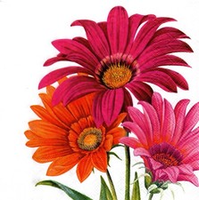 2 Two Paper Lunch Napkins for Decoupage/Mixed Media - Joyful Gerbera daisies