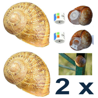 4pcs Geocaching Hideout Vineyard Snail Snail Magnetic Micro Forest Tube