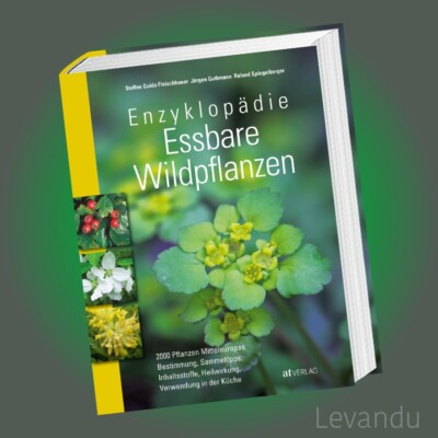 ENZYKLOPÄDIE ESSBARE WILDPFLANZEN | 2000 Pflanzen Mitteleuropas - Heilwirkung