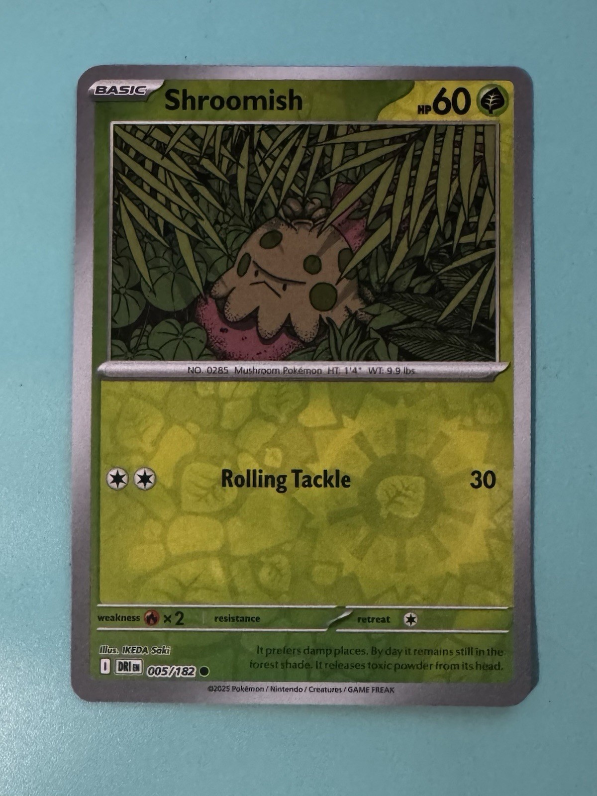 Shroomish 005/182 Reverse Holo Pokemon TCG: Destined Rivals Near Mint (NM)
