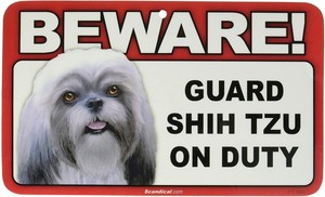 shih tzu guard dog