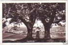 25183 Postcard Hlinsko Bohemia & Moravia total view 1939
