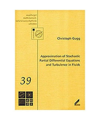 Approximation of Stochastic Partial Differential Equations and Turbulence in Flu