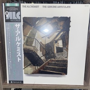 The Genuine Articulate Vinyl | eBay