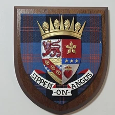 M.W. Stephens Clan Scottish Crest Plaque Wooden Shield