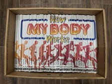 How My Body Works Educational Books