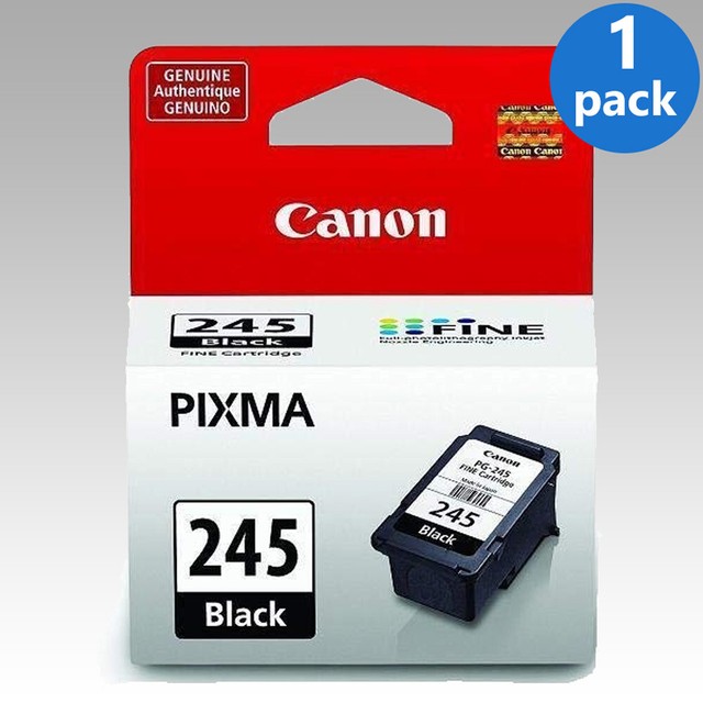 Genuine Canon PG245 CL246 Ink Cartridge Black Color TR4522 TS3320