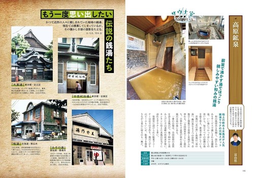 Amazing Public Bath 100 Guide Book bathhouses from Japan - Picture 7 of 7