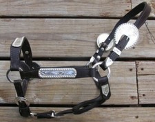 Dark Oil Congress Cut Silver WEANLING Horse Show Halter - Matching Lead Shank