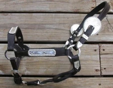 Dark Oil Congress Cut Silver WEANLING Horse Show Halter - Matching Lead Shank