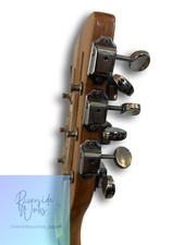 Rickenbacker 360
