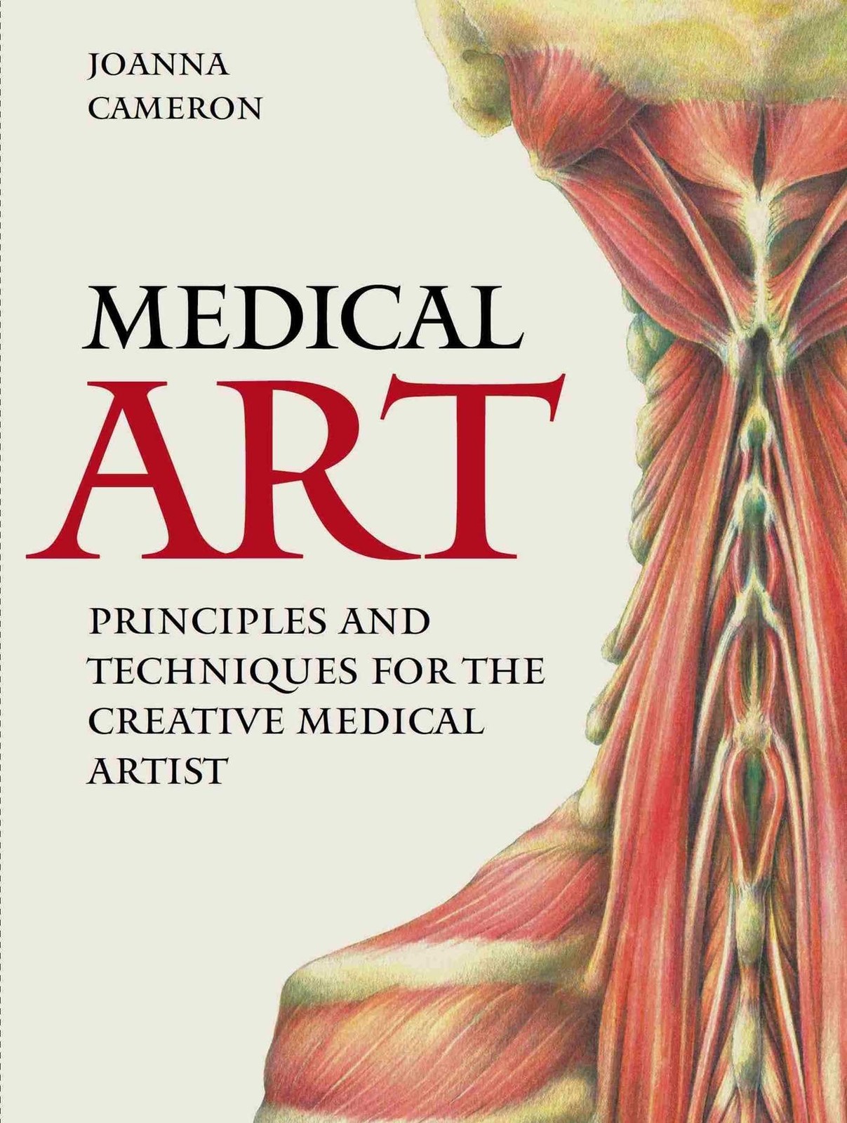 Medical Art Joanna Cameron - Image 5