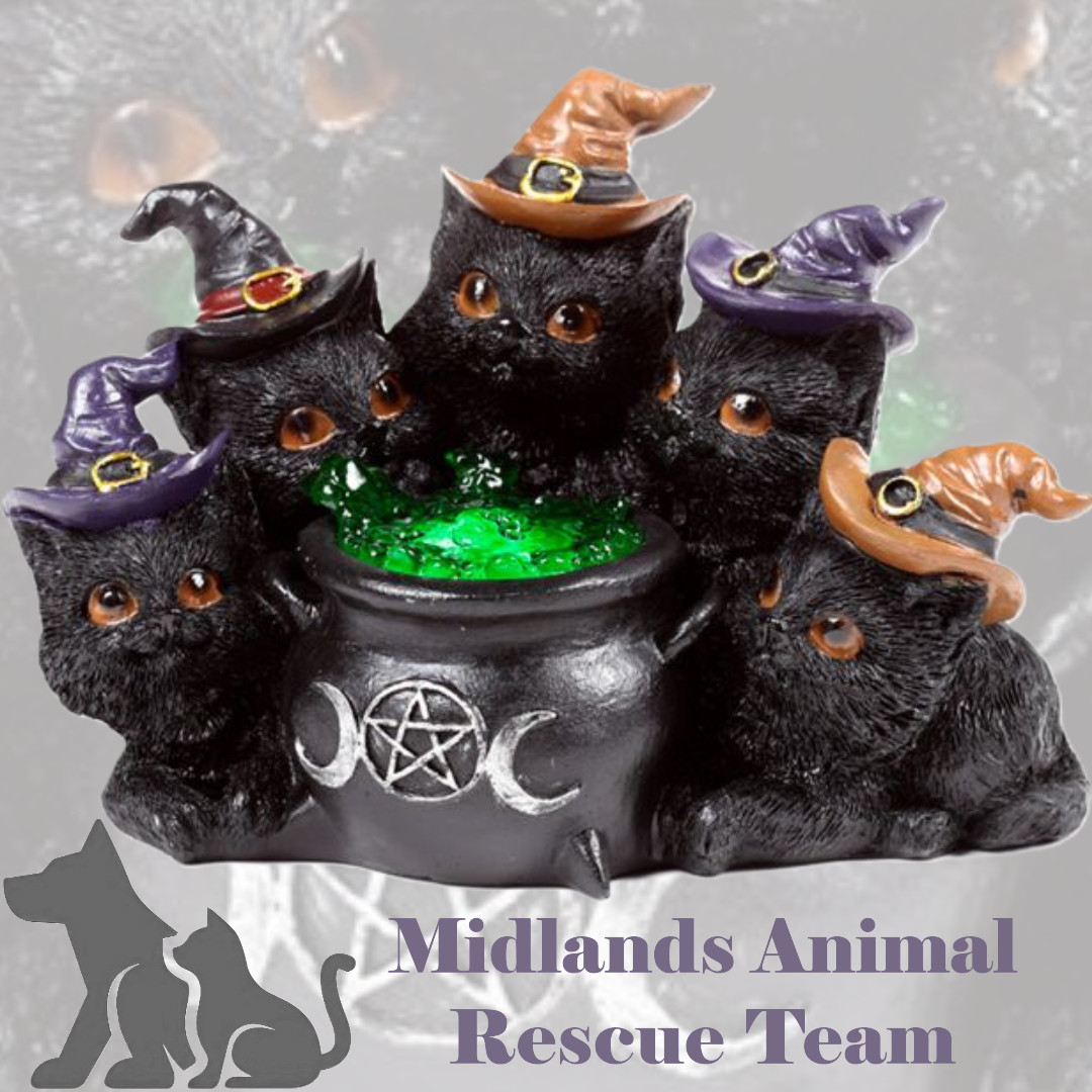 Witches Black Cat LED Bubbling Cauldron Figurine - Sale For Our Animal Charity