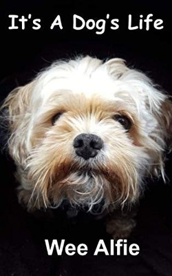 It's A Dog's Life,Wee Alfie