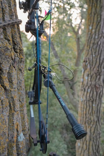 Bow Hunting Stabilizer Sets by Catalyst Archery - Picture 4 of 4