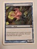 Vizzerdrix - 9th Edition Core Set - Magic the Gathering MTG Nice!