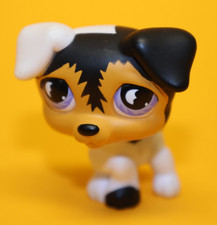 Hasbro Littlest Pet Shop Figur  Doge 803