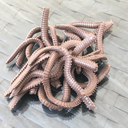 Künstliche Angelköder Forellenteig Tauwurm Wattwurm Bienenmade Mais Boilies Made - Bild 3 von 13