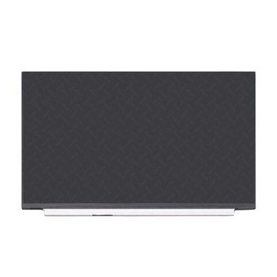 15.6'' 165Hz WQHD LCD Screen LED IPS Display Panel für MSI GE66 Raider 11UG-271