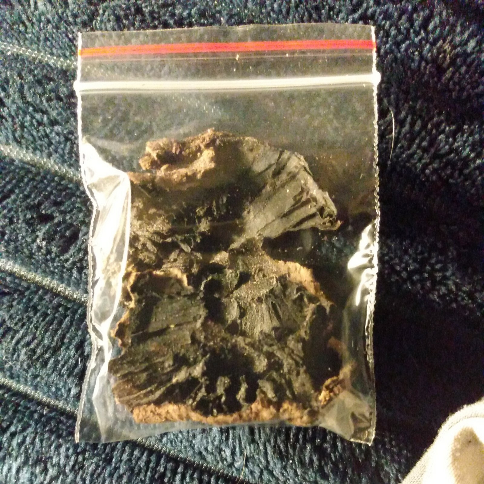 Dried Portobello Mushroom Spores organic nonGMO Fresh Dried Mushroom