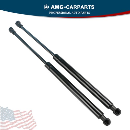 Motorhaube Stützfedern Für BMW 3er E90 E91 E92 E93 - 2 Stück Set