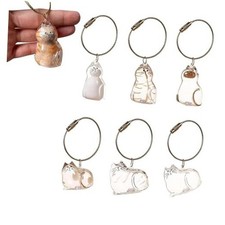 Pet Fur Memorial Keychain-Transparent cat Hair Keychain,Pendant for Cat 6pc Cat