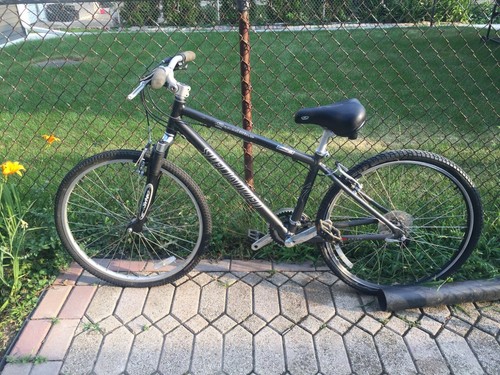 Specialized Expedition Elite Bicycle 
