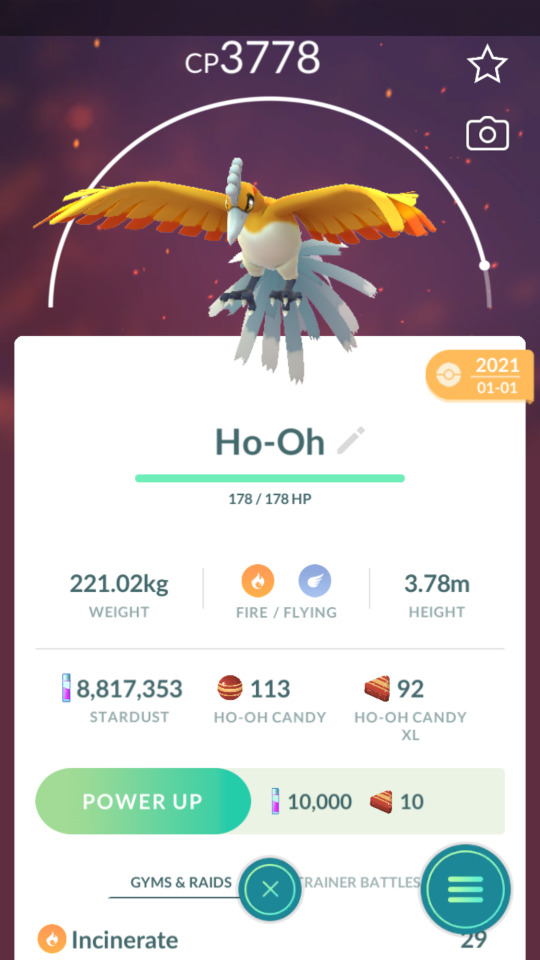 Shiny Ho-Oh Heats Up November in Pokémon Duel