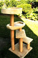 Katzenbaum
