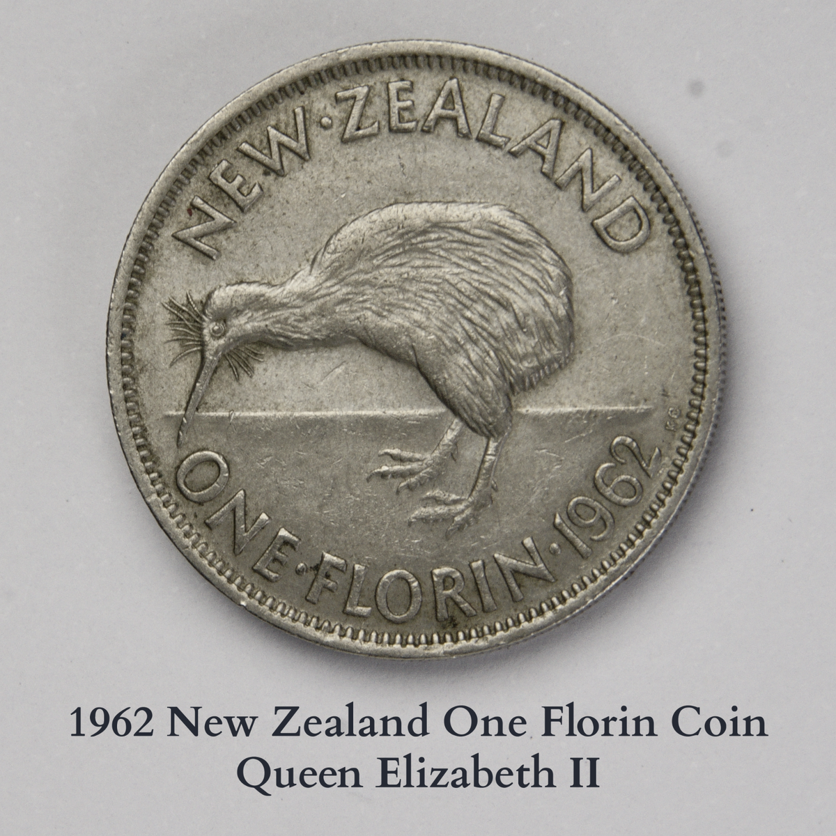 ワシの鳥元気でお金やってくる　強い廃棄できる 1962 New Zealand One Florin Coin | Queen Elizabeth II & Kiwi Bird