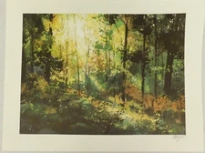 TOM LYNCH GREEN FOREST SUNLIGHT SCENE PRINT HAND SIGNED 17.5" X 23"