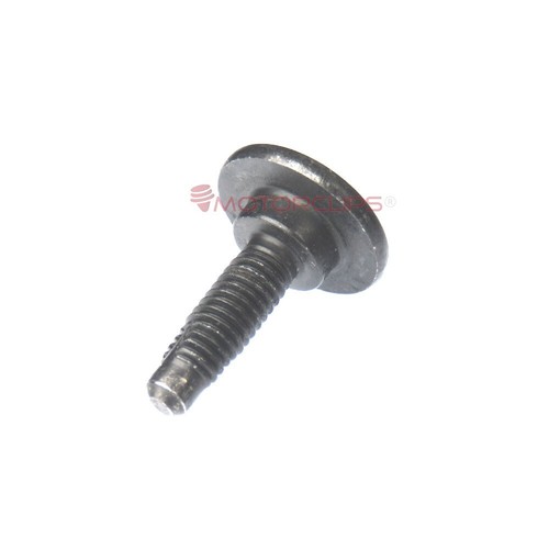 BUMPER BOLT SCREW M6 TORX FOR SOME FIAT ALFA ROMEO LANCIA METAL 46419734 X 10 - Picture 9 of 9