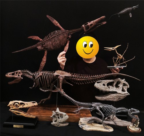 1/10 Modelo Esqueleto Pterosaurio Dinosaurio Animal Decoración Juguetes de Coleccionista - Imagen 10 de 10