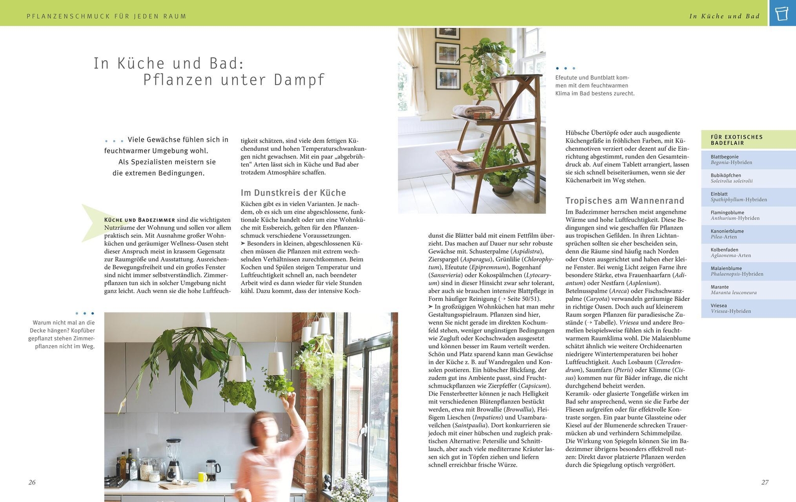 Thumbnail - Zimmerpflanzen Karin Greiner