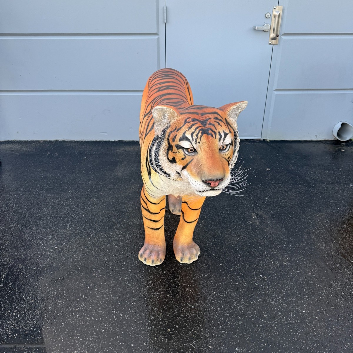 Sumatran Tiger Life Size Resin Statue Jungle Animal Display Wild