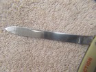 Vintage Harvest Fruit Melon Long Sampler Tester Folding Pocket Knife — photo 2