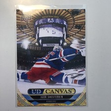 2024-25 UD Extended Series UD Canvas Igor Shesterkin