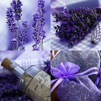 "Servietten \"Lavande\" 33 X 33 Cm - 20 StüCk - Lavendel-Serviette - Sommerserviett"