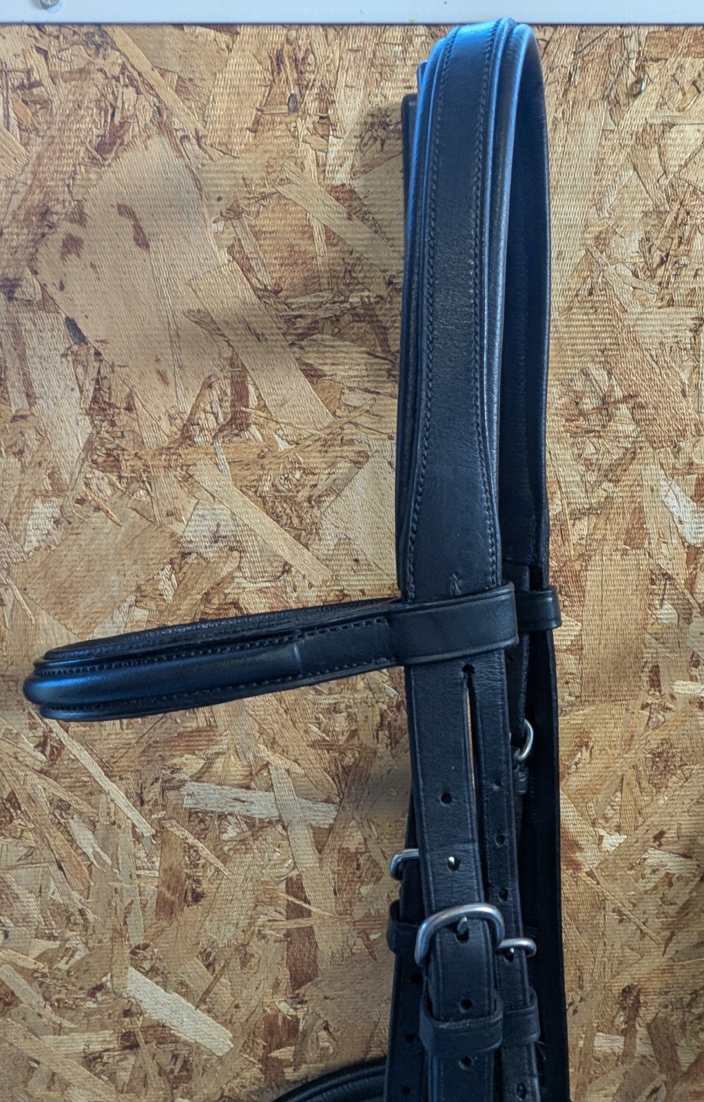 VESPUCCI Classic Padded Dressage Bridle $318