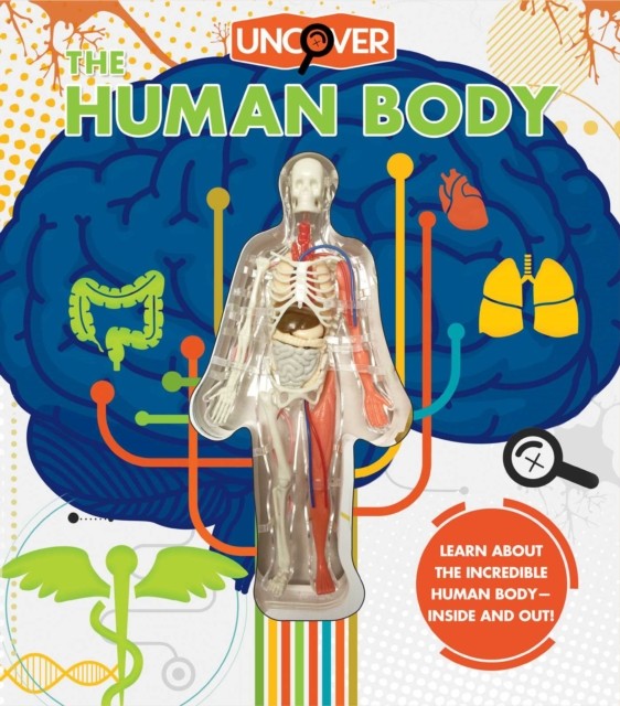 Uncover the Human Body by Luann Colombo (Hardback Book)