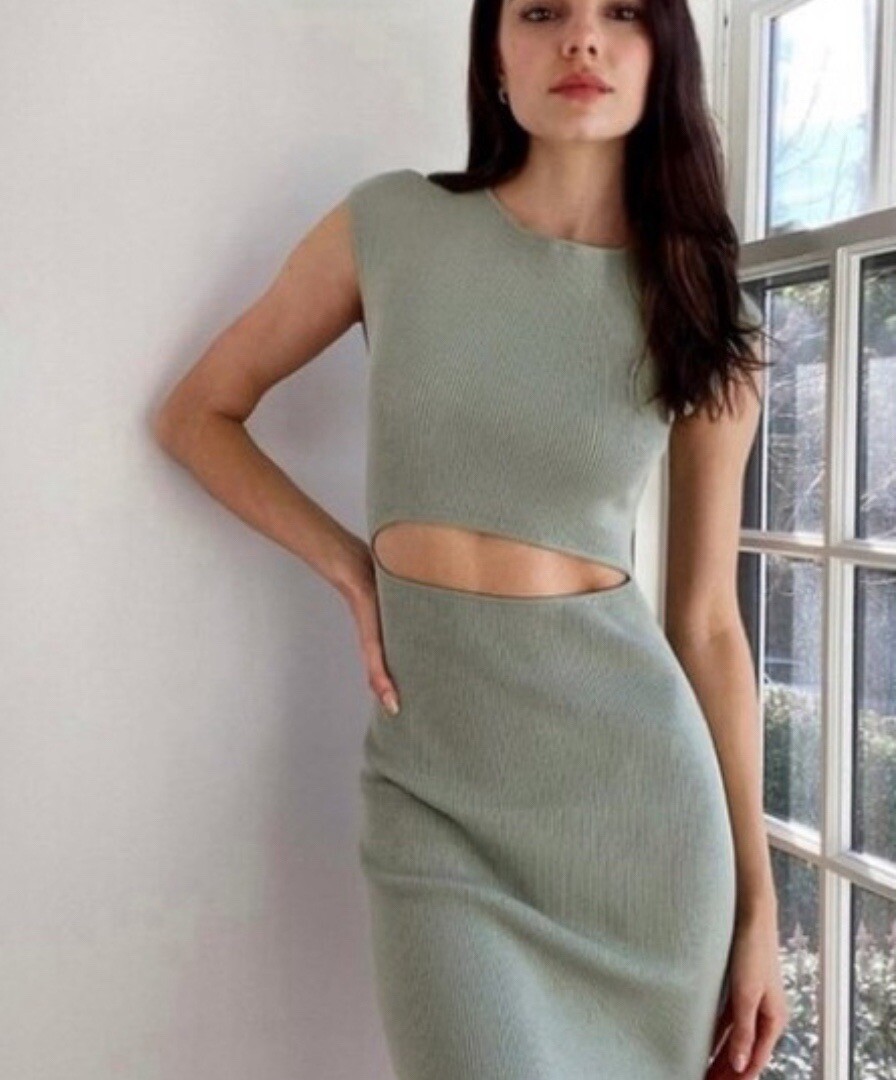Aritzia Wilfred Free Cut Out Dress Medium