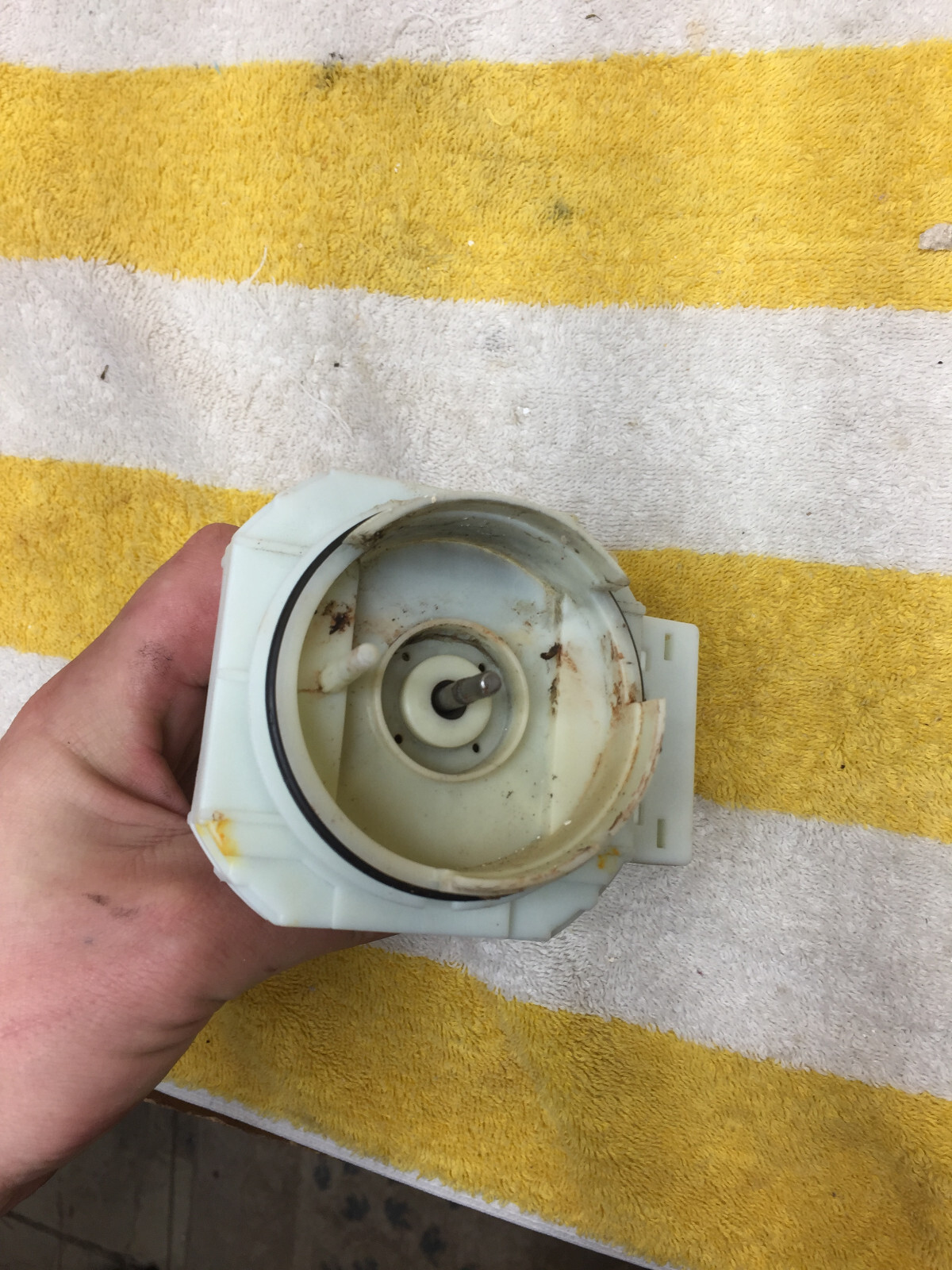 5304519906 Frigidaire Dishwasher Circulation Pump free shipping eBay