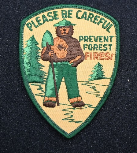 Vintage Embroidered Smokey the Bear Prevent Forest Fires Patch