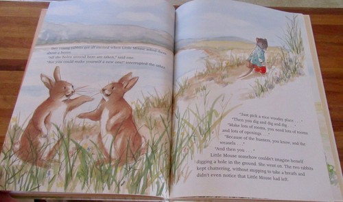 House for a Mouse - Jean-Come Nogues. Illust Anne Velghe Hb NEW! HERE in MELB - Picture 12 of 20