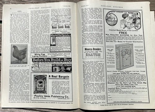 2) POULTRY SUCCESS Magazine: Feb & Oct 1912; Chicken Farming Breeding; Wyandotte - Picture 21 of 23
